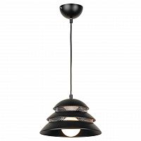 подвесной светильник lussole loft beijing grlsp-8131 в Кургане