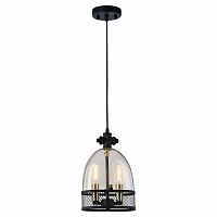 подвесной светильник lussole loft lsp-9675 в Кургане