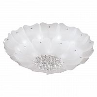 потолочный светильник lightstar lobo 804070 в Кургане